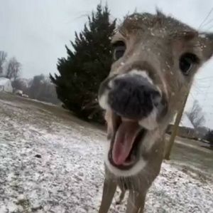 Meet your Posher, Kady